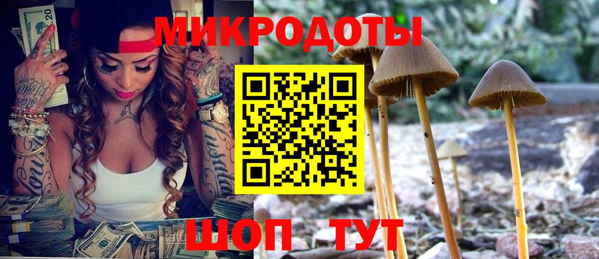 закладки  Галлюциногенные грибы прущие грибы  Вход с VPN  Ревда 