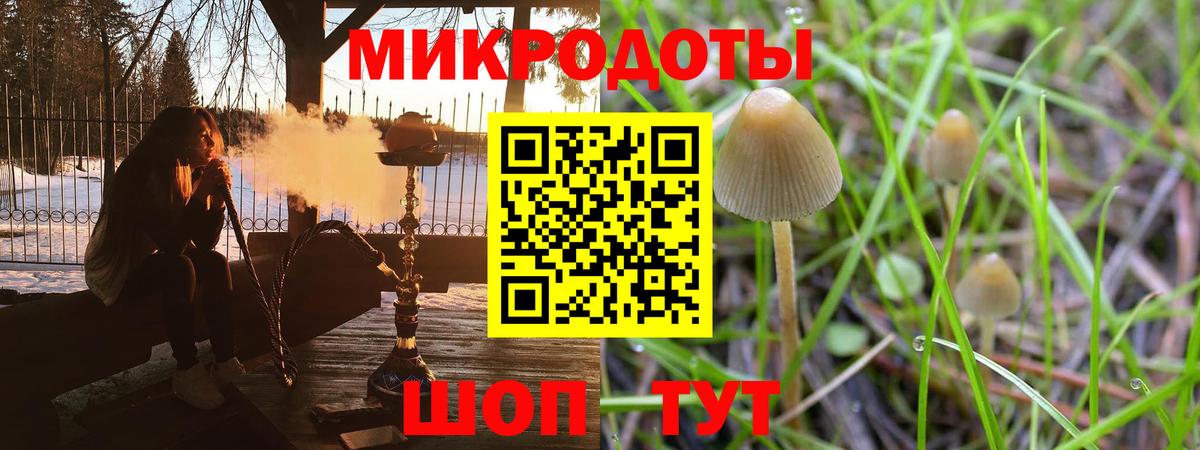 Галлюциногенные грибы Psilocybine cubensis Ревда